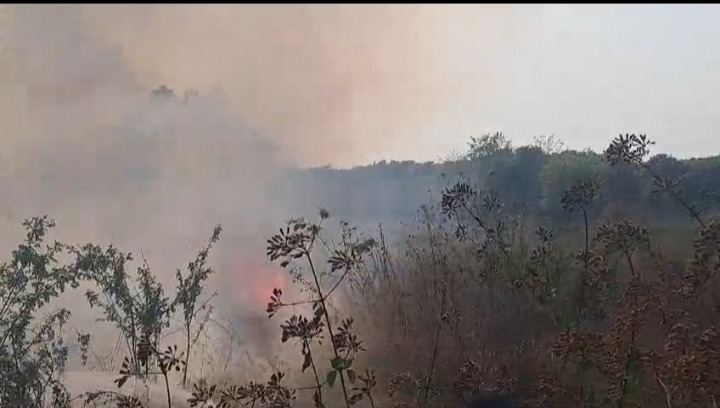 Fire Incident:कृषि विभाग कार्यालय के समीप लगी आग, समय रहते काबू पाकर टला बड़ा नुकसान 18
