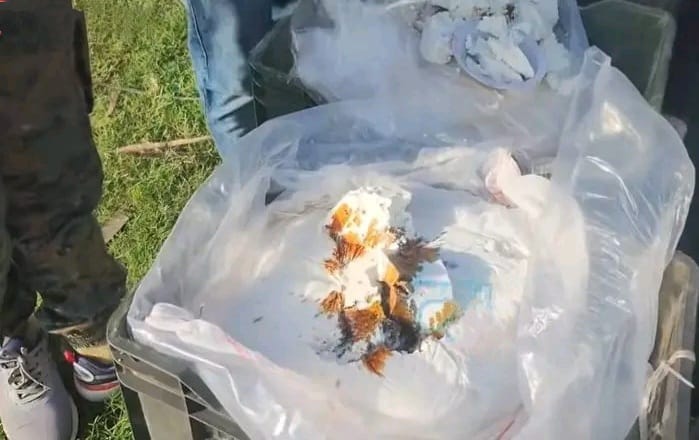 Fake Paneer Hazaribagh: हजारीबाग में 4000 किलो नकली पनीर बरामद, स्वास्थ्य पर खतरा 15