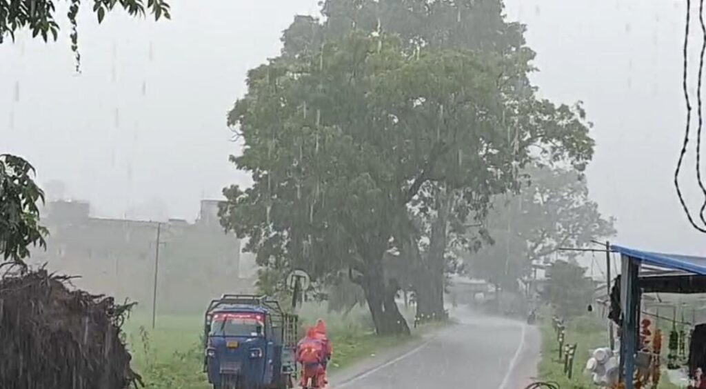 Jharkhand Rain Impact : खरसावां में झमाझम बारिश से जनजीवन प्रभावित, खेतों में पानी भरने से फसल को नुकसान 16