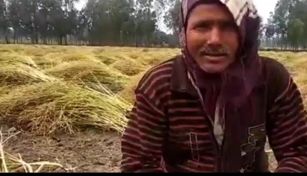 Seraikela Farmer Losses: नदी किनारे सब्जी खेत जलमग्न‚ खीरा-टमाटर नष्ट, आर्थिक नुकसान गहरा 19
