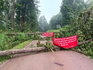 Saranda Naxal Attack: सारंडा के जंगल में नक्सलियों का तांडव‚ पेड़ काटकर सड़क की नाकाबंदी