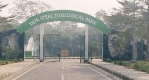 Jamshedpur Cold Care: तापमान में गिरावट‚ टाटा ज़ू ने जानवरों की सुरक्षा बढ़ाई