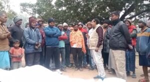 Elephant Attack Death: कितापी गांव में हाथियों का हमला‚ महिला की दर्दनाक मौत