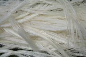 Jharkhand Sisal Fiber: झारखंड में 30 मीट्रिक टन सिसल फाइबर की बिक्री, स्थानीय उद्योगों को मिलेगी प्राथमिकता