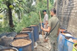 Seraikela News: कपाली में अवैध शराब के अड्डों पर छापेमारी, 3400 किलो जावा महुआ नष्ट Seraikela News: कपाली में अवैध शराब के अड्डों पर छापेमारी, 3400 किलो जावा महुआ नष्ट