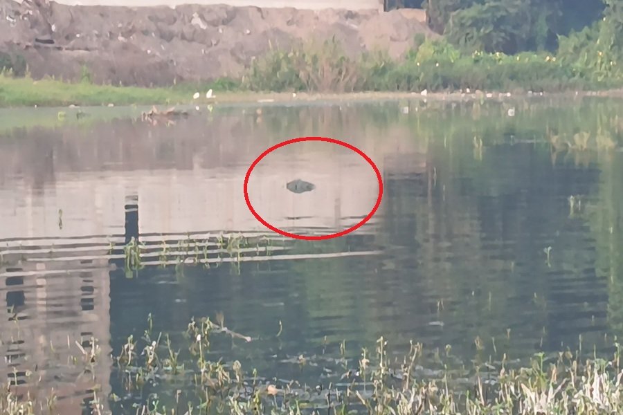 Adityapur News: आदित्यपुर में 24 घंटे के भीतर दो शव मिलने से सनसनी, कृषि विज्ञान केंद्र के तालाब में मिला दूसरा शव