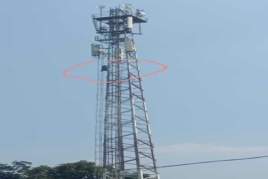 Palamu News: पलामू में हाईवोल्टेज ड्रामा, मनातू थाना क्षेत्र में सूर्य मंदिर के पास मोबाइल टावर पर चढ़ी युवती